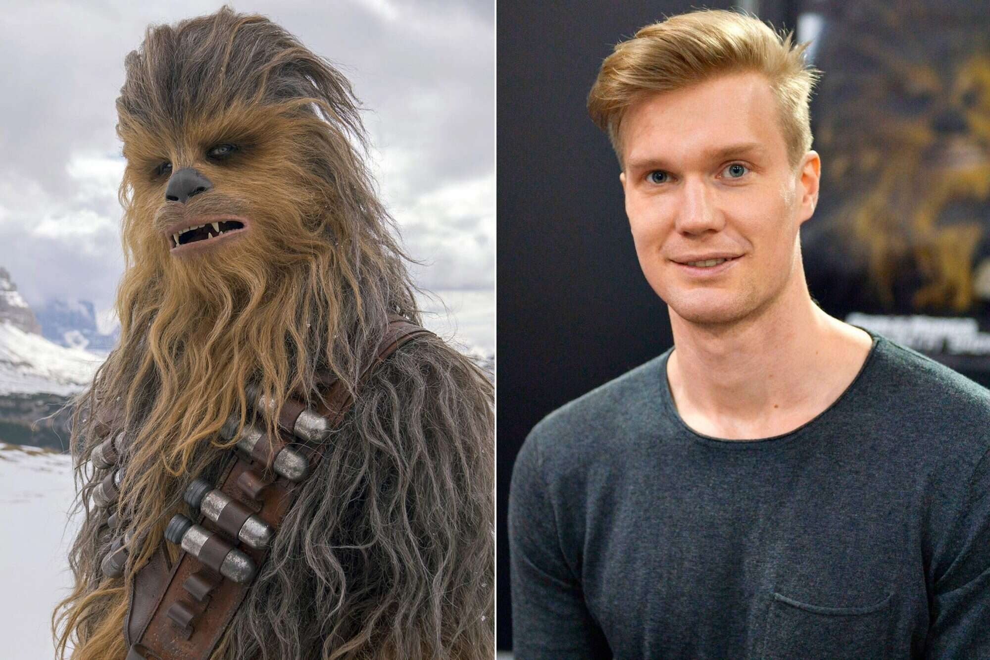 Who Played Chewbacca in Star Wars? - Chow Down Movie Store
