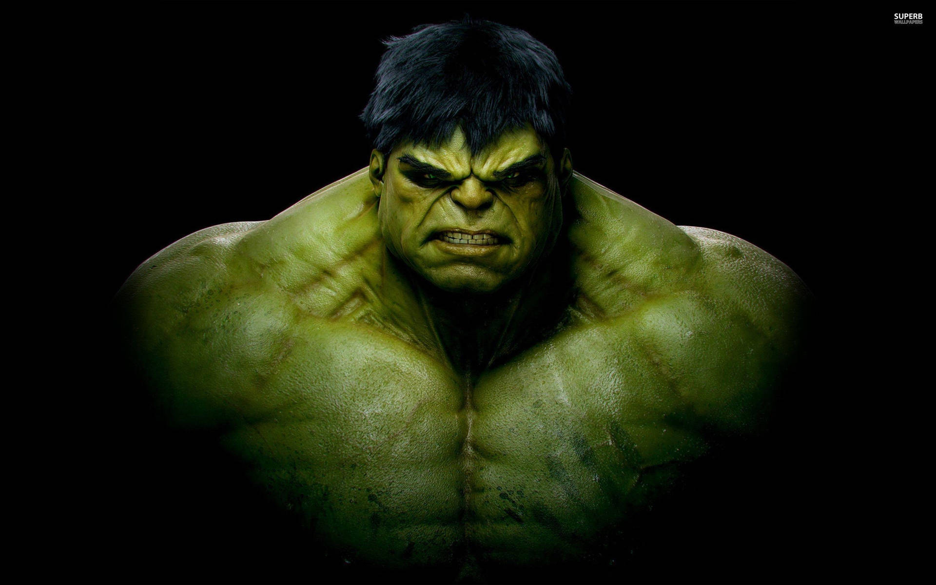The Hulk's Alter Ego - Bruce Banner