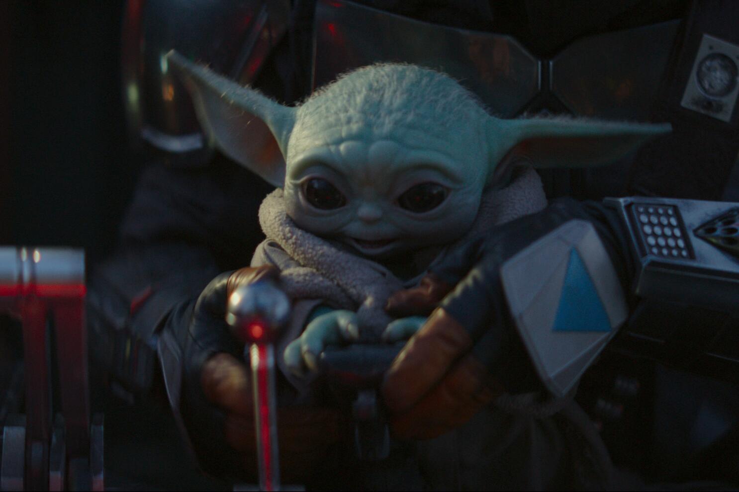 When Was Yoda Born